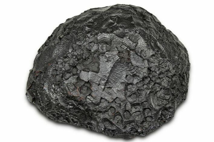 Dragon Scale Stone (Iron, Manganese, Siderite Nodule) #330317